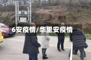 6安疫情/华里安疫情
