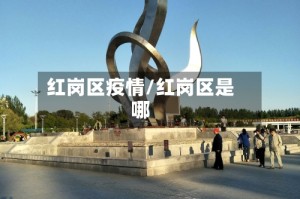红岗区疫情/红岗区是哪