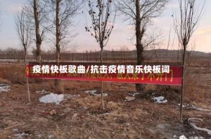 疫情快板歌曲/抗击疫情音乐快板词