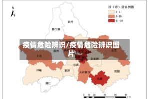 疫情危险辨识/疫情危险辨识图片