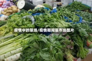 疫情中的菜场/疫情期间菜市场图片