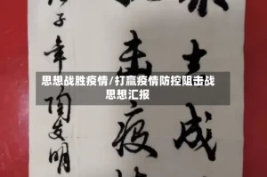 思想战胜疫情/打赢疫情防控阻击战思想汇报