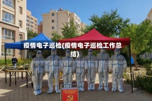 疫情电子巡检(疫情电子巡检工作总结)