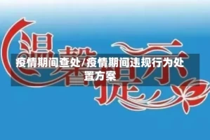 疫情期间查处/疫情期间违规行为处置方案