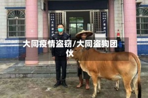 大同疫情盗窃/大同盗狗团伙