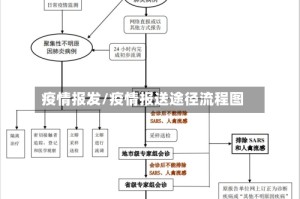疫情报发/疫情报送途径流程图