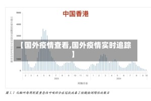 【国外疫情查看,国外疫情实时追踪】