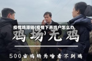 疫情鸡滞销(疫情下养鸡户怎么办)