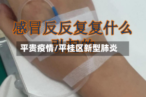 平贵疫情/平桂区新型肺炎