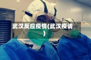 武汉反应疫情(武汉疫请)