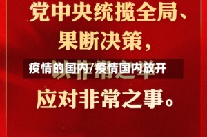 疫情的国内/疫情国内放开