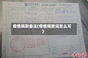 疫情捐款备注(疫情捐款词怎么写)