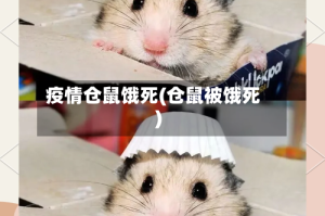 疫情仓鼠饿死(仓鼠被饿死)