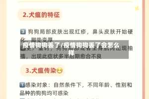 疫情狗狗丢了/疫情狗狗丢了会怎么样