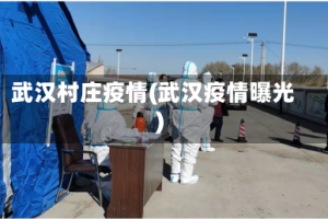 武汉村庄疫情(武汉疫情曝光)