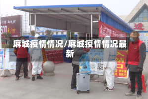 麻城疫情情况/麻城疫情情况最新