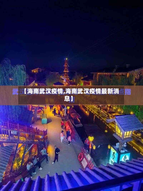 【海南武汉疫情,海南武汉疫情最新消息】-第1张图片