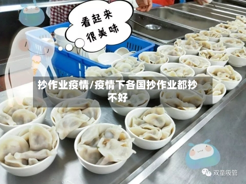 抄作业疫情/疫情下各国抄作业都抄不好-第2张图片