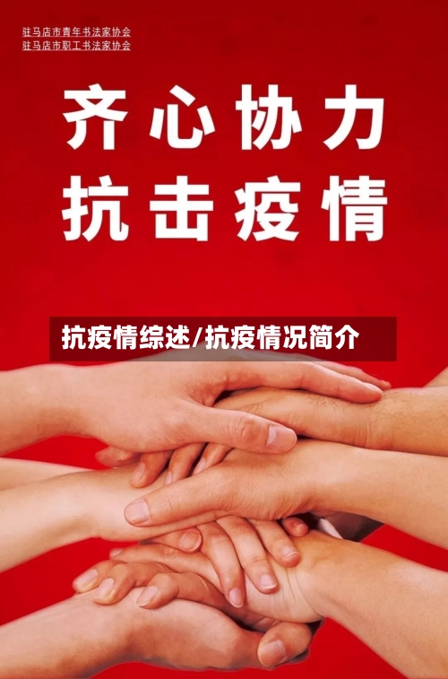 抗疫情综述/抗疫情况简介-第1张图片