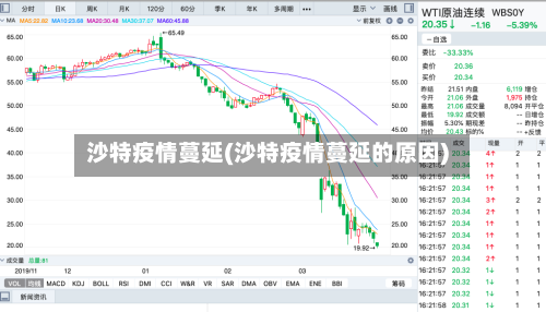 沙特疫情蔓延(沙特疫情蔓延的原因)-第2张图片