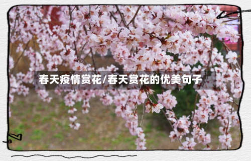 春天疫情赏花/春天赏花的优美句子-第1张图片