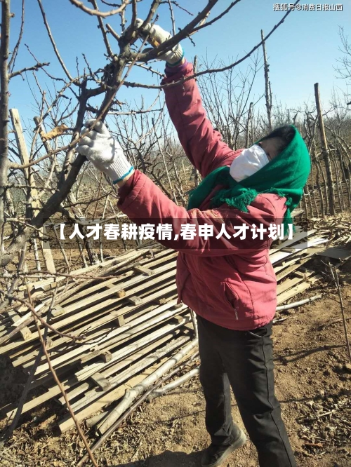 【人才春耕疫情,春申人才计划】-第3张图片