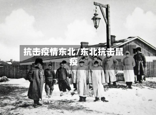 抗击疫情东北/东北抗击鼠疫-第1张图片