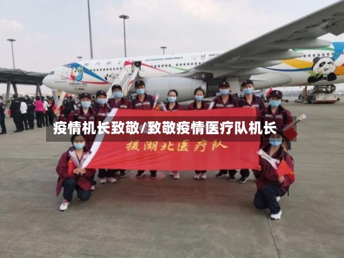 疫情机长致敬/致敬疫情医疗队机长-第2张图片