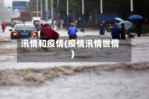 汛情和疫情(疫情汛情世情)-第1张图片