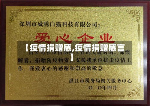 【疫情捐赠感,疫情捐赠感言】-第2张图片