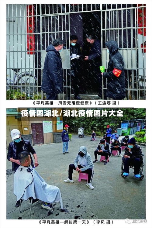 疫情图湖北/湖北疫情图片大全-第1张图片