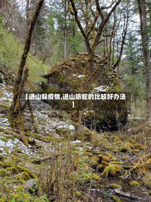 【进山躲疫情,进山防蛇的比较好办法】-第1张图片