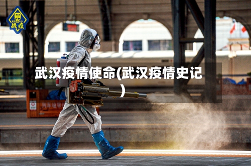 武汉疫情使命(武汉疫情史记)-第1张图片