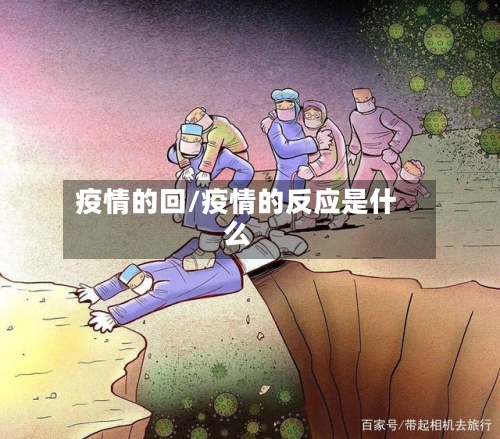 疫情的回/疫情的反应是什么-第2张图片