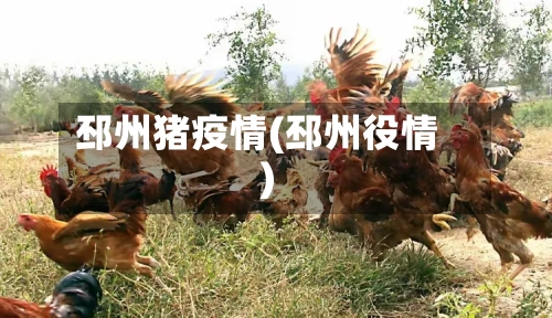 邳州猪疫情(邳州役情)-第2张图片