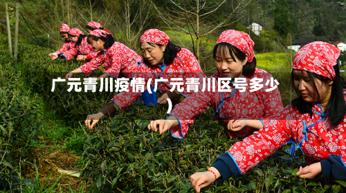 广元青川疫情(广元青川区号多少)-第2张图片