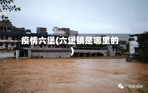 疫情六堡(六堡镇是哪里的)-第1张图片