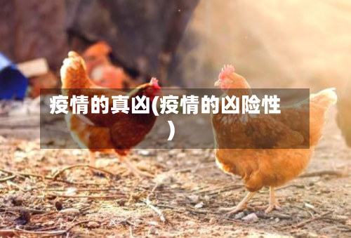 疫情的真凶(疫情的凶险性)-第3张图片