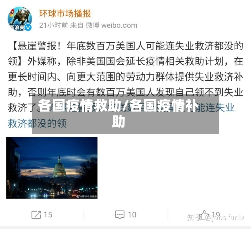各国疫情救助/各国疫情补助-第3张图片