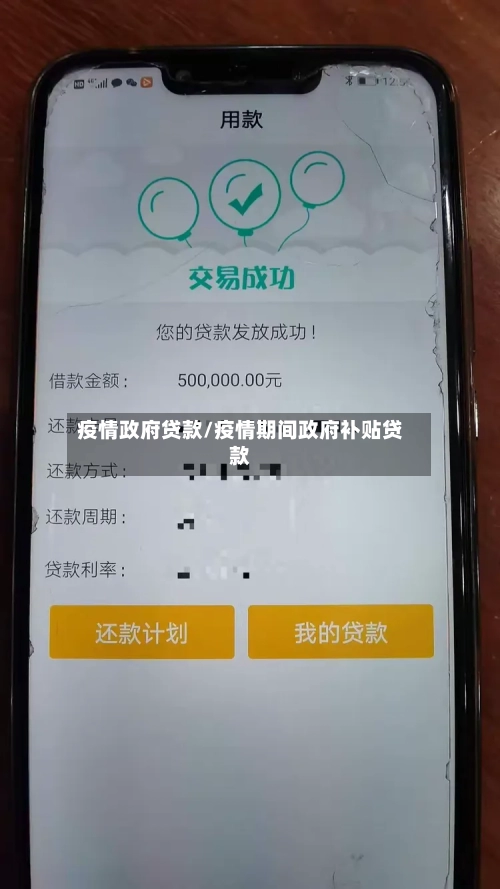疫情政府贷款/疫情期间政府补贴贷款-第1张图片