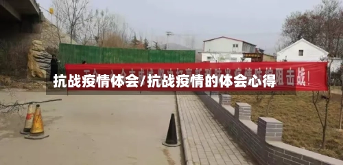 抗战疫情体会/抗战疫情的体会心得-第2张图片