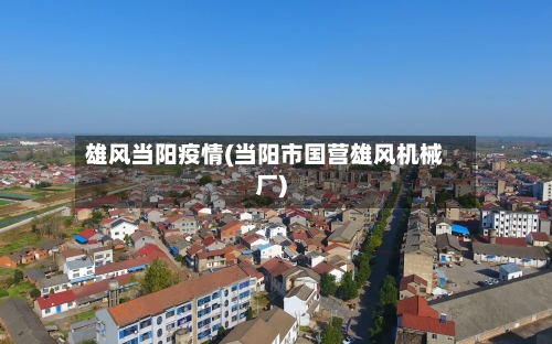 雄风当阳疫情(当阳市国营雄风机械厂)-第1张图片