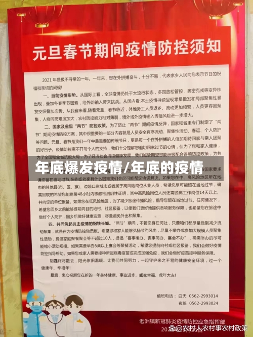 年底爆发疫情/年底的疫情-第3张图片
