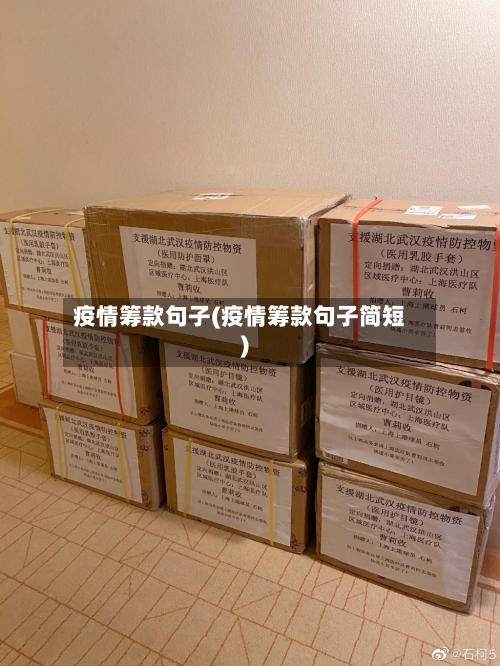 疫情筹款句子(疫情筹款句子简短)-第1张图片