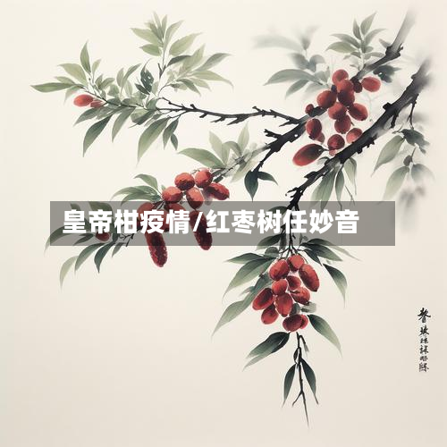 皇帝柑疫情/红枣树任妙音-第1张图片