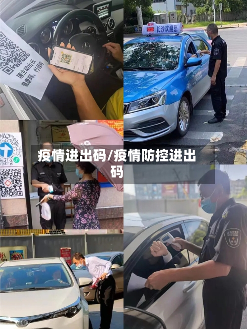 疫情进出码/疫情防控进出码-第1张图片