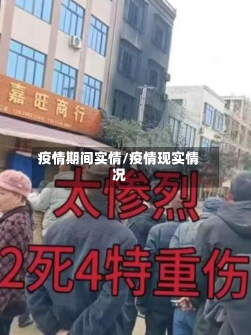 疫情期间实情/疫情现实情况-第2张图片