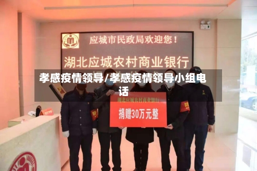 孝感疫情领导/孝感疫情领导小组电话-第1张图片