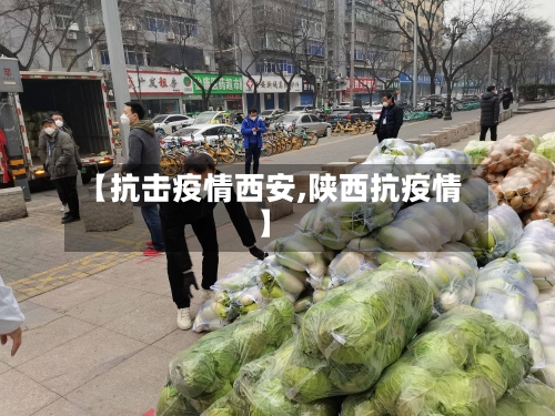 【抗击疫情西安,陕西抗疫情】-第2张图片