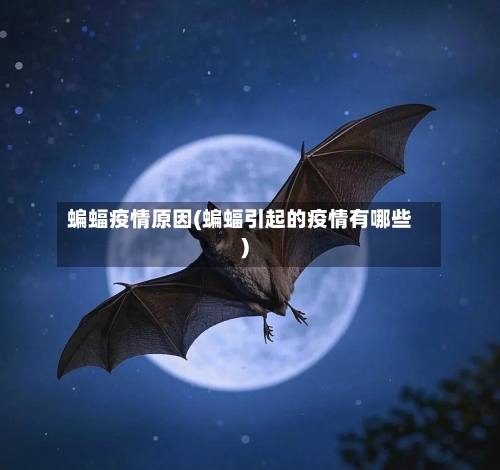 蝙蝠疫情原因(蝙蝠引起的疫情有哪些)-第2张图片